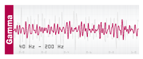 Brainwaves Explained and Frequencies Range